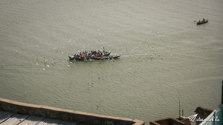 Emberekkel teli hajó a Gangesz folyón, körülöttük sirályok hada