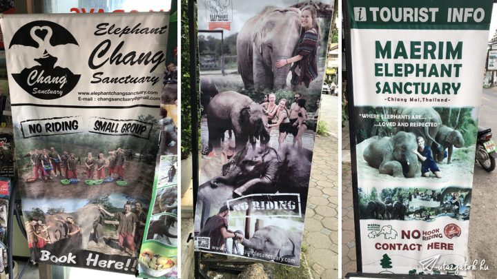 Elefánt park reklámok